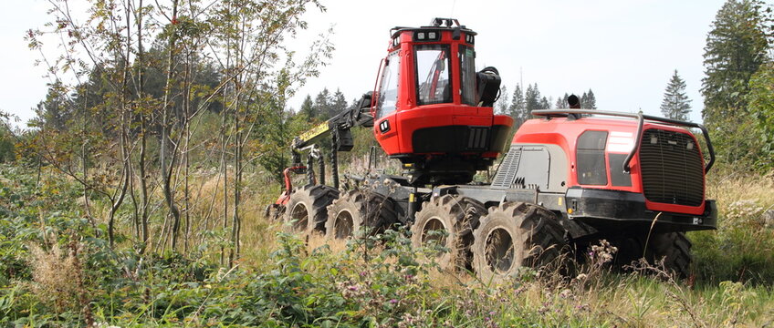 A Forest Harvester In The Fir Forest