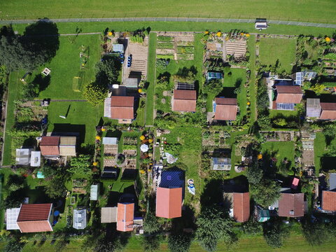 Aerial view of garden plots in sunlight