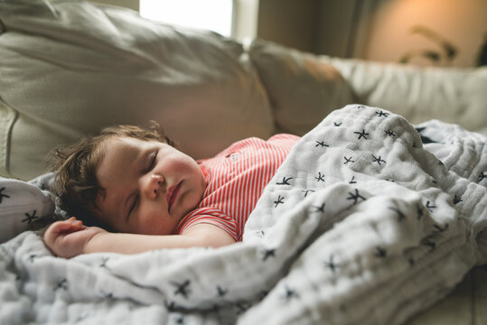 Sweet Napper