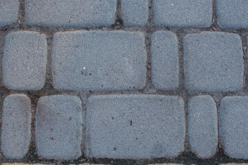 Fototapeta premium paving stones in the park close up