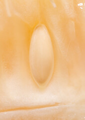 Seeds on a ripe cucumber close-up.