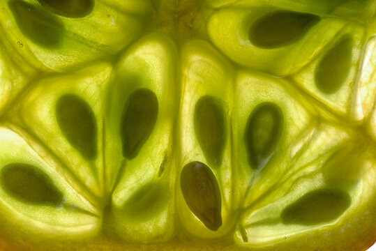 Closeup macro photograph of the interior cells and seeds of kiwano fruit (Cucumis metuliferus)