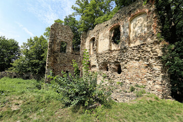 Fototapeta na wymiar Old Vikstejn castle ruined palace walls with bush and grass