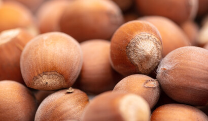 Close up of hazelnuts as background