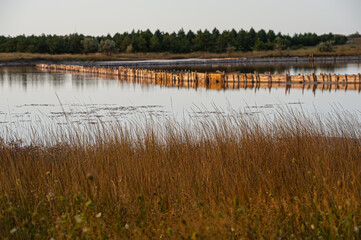 Salt evaporation lake shores. An industrial salt plant produces - natural sea salt.