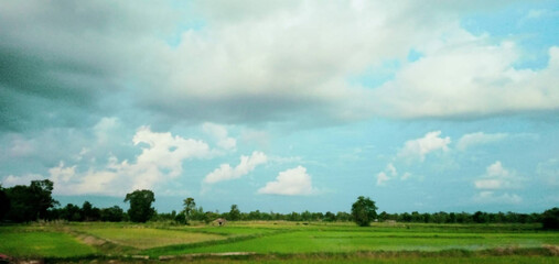 green field and sky
