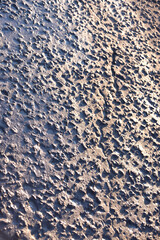 Old asphalt pavement with a crack in the contour lighting