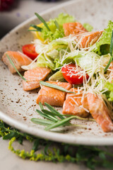 green salad with salmon pieces