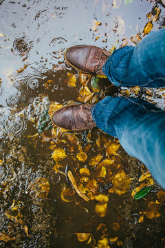 Brown boots wet with rain in a puddle with yellow breech leaves