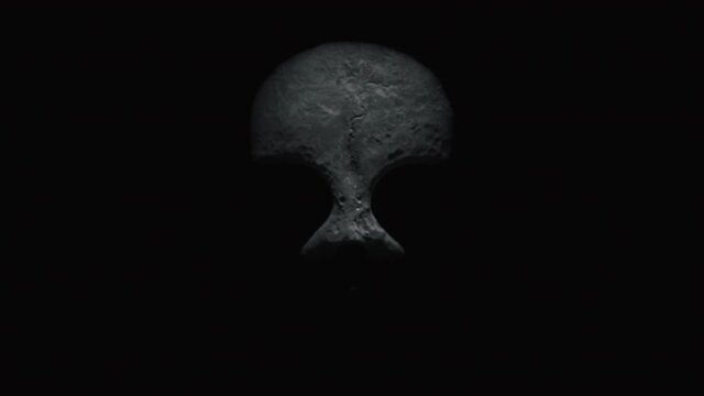Animation of the appearance of a skull or skeleton from the darkness. Horror scene or Halloween decoration.