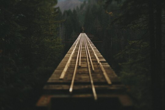 Vance Creek Bridge