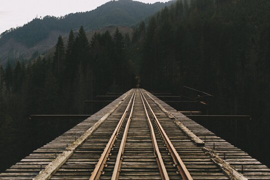 Vance Creek Bridge