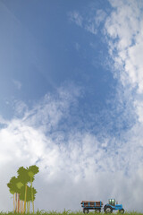 Representation of tropical rain forest deforestation by illegal logging activity set against a blue cloudy sky
