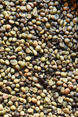  Close up of coffee beans for background                                