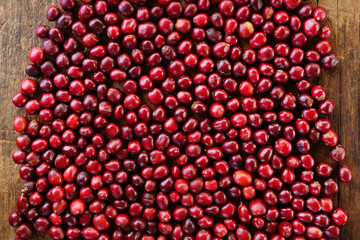 close up of fresh coffee beans for background                                