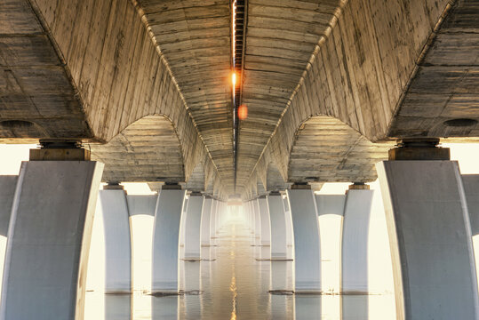 Seeing the Light