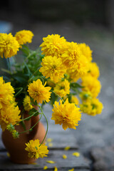 Still-life. A bouquet of yellow flowers in a clay jug.