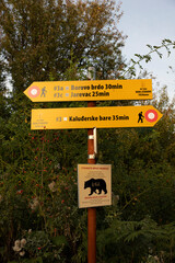 TARA Mountain, Serbia - September 16, 2020: Sign post depicting hiking trails and Bear encounter warning in national park Tara, in Serbia, Europe