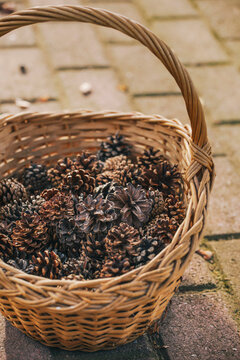 Wicker basket full of pine cones.
