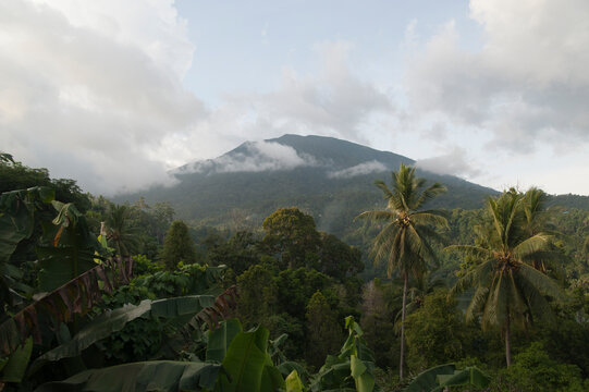 Island Volcano