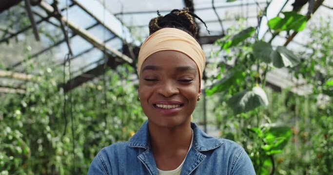Portrait of millennial woman looking to camera and smiling. Close up view of cheerful african american female farmer posing while standing in greenhouse. Concept of farming