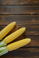 fresh corn cobs on wooden surface