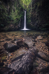 waterfall in the woods