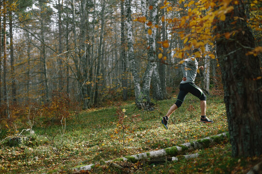 Trail runner man training in the forest