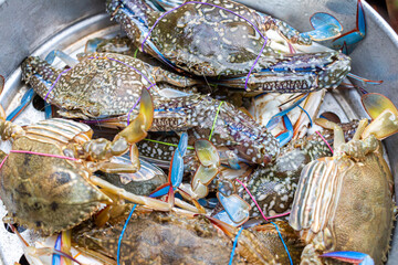 Blue Crabs in stainless Pot waiting for steaming, it is a easy homemade cooking. thailand