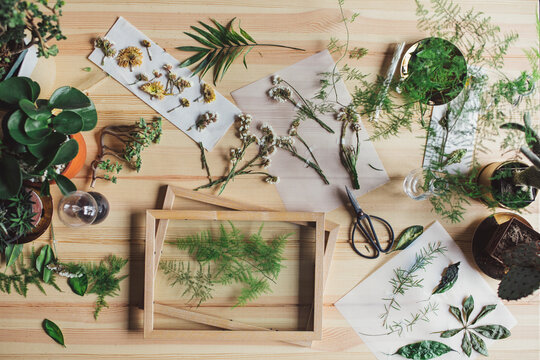 Botanical Decoration