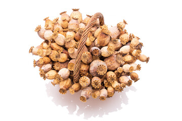 Beautiful poppy seed heads, in a wicker basket isolated on white background.