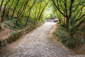 Cobblestone road in the Krka National Park in Croatia