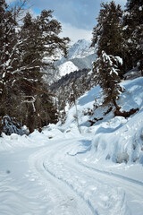 Obraz premium Road in mountain during winter. 