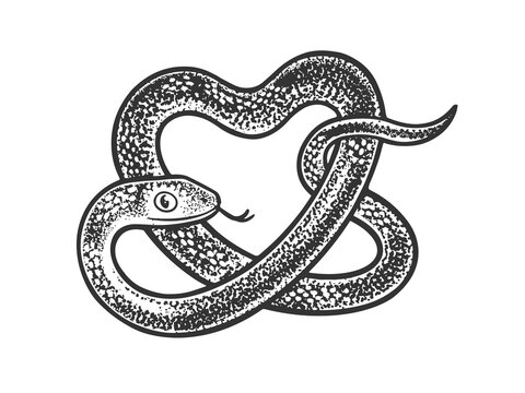 snake in form of heart sketch raster illustration