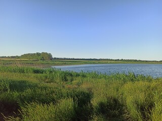 landscape with river
