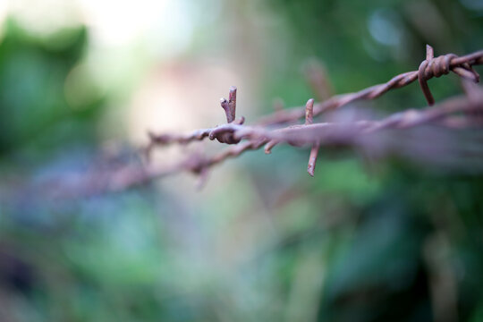 Barbed wire,close up