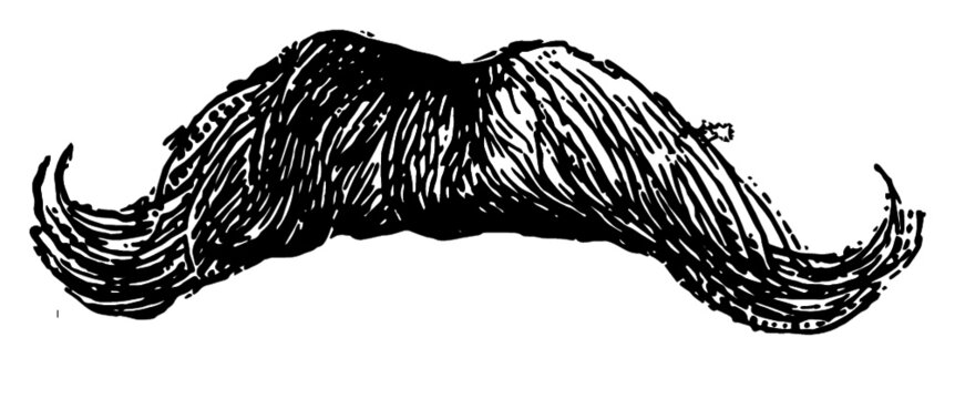 Moustache Vintage Engraved Illustration Hipster black and white