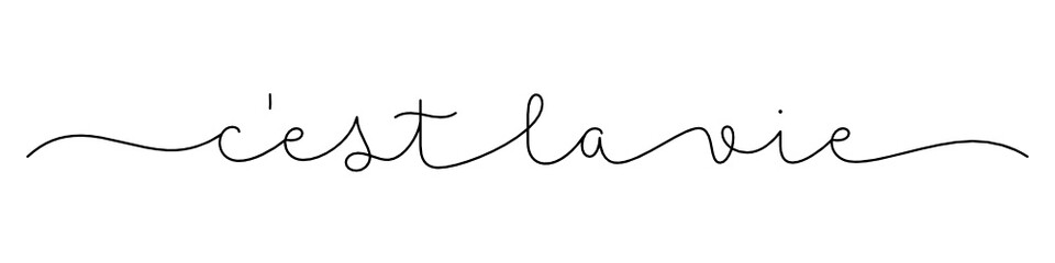 C'EST LA VIE black vector monoline calligraphy banner with swashes