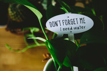 Plant with a reminder