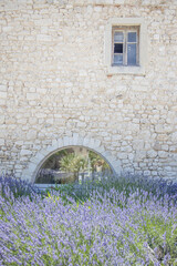 Provence Drome lavender & stone wall