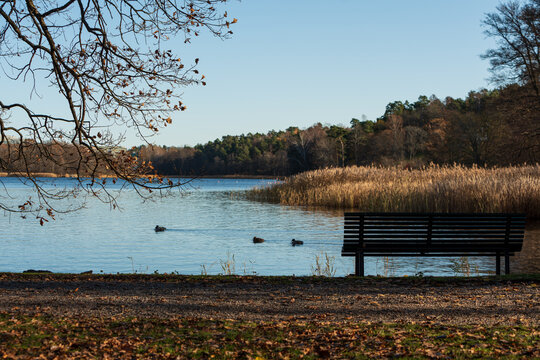 Bank in the middle of nature, with views of the lake to disconnect and relax and think about your things.