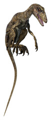 3D Rendering Dinosaur Deinonychus on White