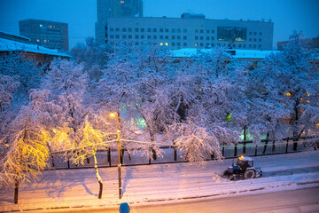 winter, snow, evening, view from the window