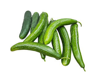 Close up picture of several cucumbers with neutral white background