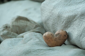heart shaped potatoes lie on the bag