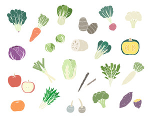 手描きの冬の野菜のイラストのセット／シンプル／おしゃれ／食べ物／食材／季節／果物／フルーツ