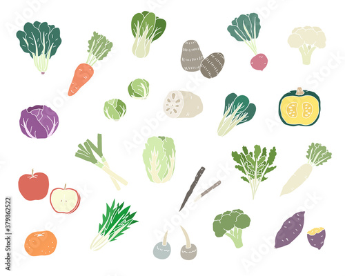 手描きの冬の野菜のイラストのセット シンプル おしゃれ 食べ物 食材 季節 果物 フルーツ Apple Wall Mural App Yugoro