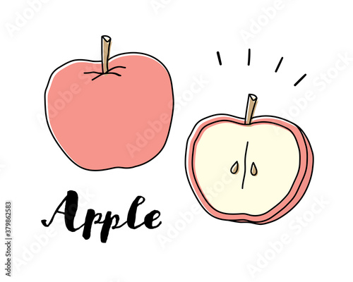 手描きのリンゴのイラストのセット かわいい おしゃれ 断面 果物 フルーツ デザート 食材 Apple Sticker App Yugoro
