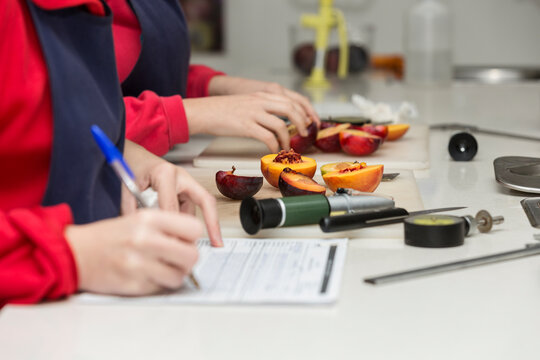Technician analysing fruit samples for quality control