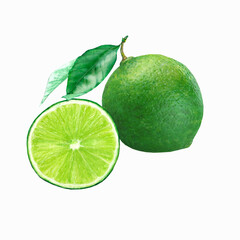 Hand drawn watercolor illustration of isolated green lime fruit and slice of the lime  on the white background